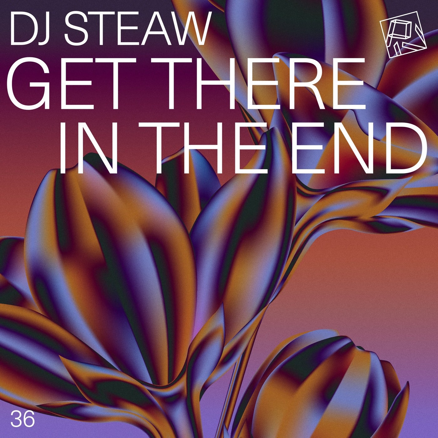 DJ Steaw – Get There In The End [PIV036]